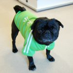 映画『ジャージの二人』オリジナルわんこジャージ発売決定!! NEWS