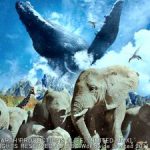 全く新しいネイチャードキュメンタリー映画『ライフ —いのちをつなぐ物語—』特集スタート NEWS