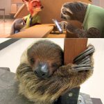 映画『ズートピア』ナマケモノを7時間生中継決定!“世界一仕事の遅い免許センターの職員フラッシュ”を応援?! NEWS